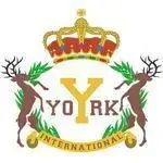 York Montessori International - Mei Foo